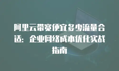 阿里云带宽便宜多少流量合适：企业网络成本优化实战指南