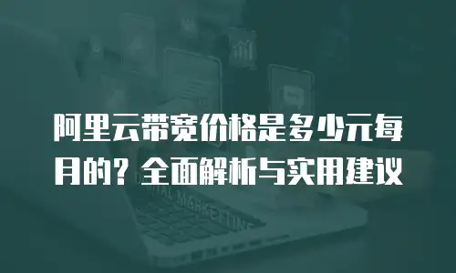 阿里云带宽价格是多少元每月的？全面解析与实用建议
