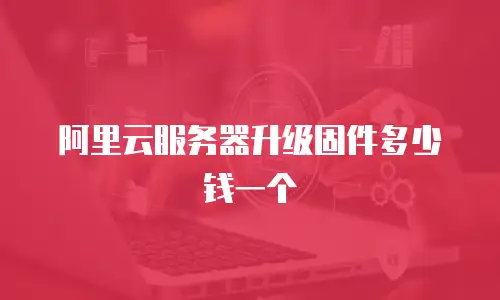阿里云服务器升级固件多少钱一个
