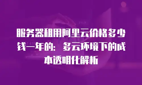 服务器租用阿里云价格多少钱一年的：多云环境下的成本透明化解析