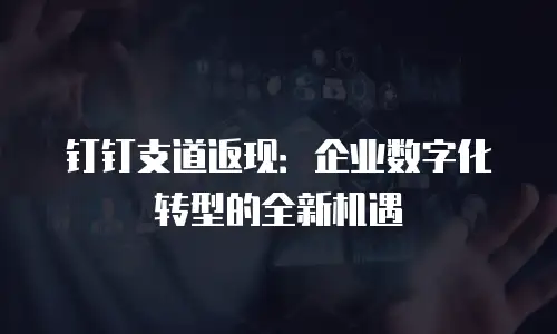 钉钉支道返现：企业数字化转型的全新机遇