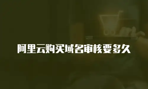 阿里云购买域名审核要多久
