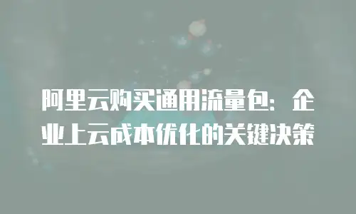 阿里云购买通用流量包：企业上云成本优化的关键决策