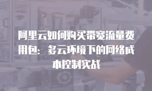 阿里云如何购买带宽流量费用包：多云环境下的网络成本控制实战