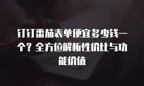 钉钉番茄表单便宜多少钱一个？全方位解析性价比与功能价值