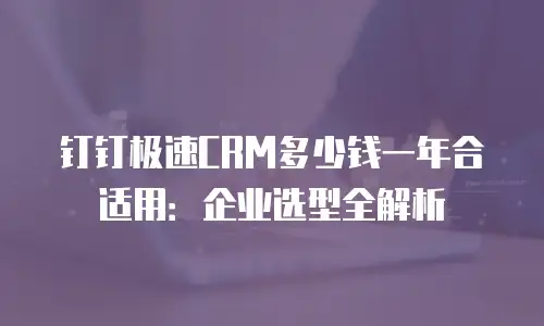 钉钉极速CRM多少钱一年合适用：企业选型全解析