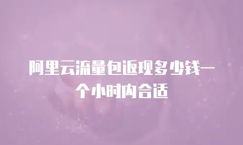 阿里云流量包返现多少钱一个小时内合适