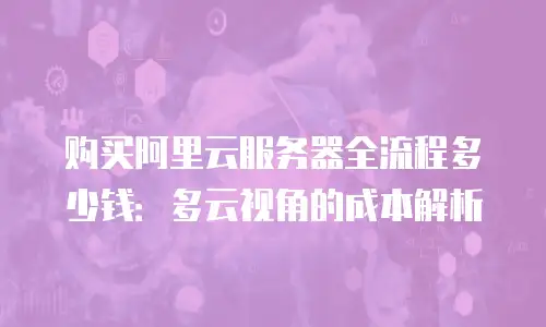 购买阿里云服务器全流程多少钱：多云视角的成本解析