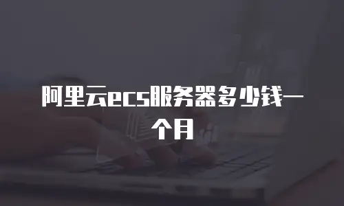 阿里云ecs服务器多少钱一个月