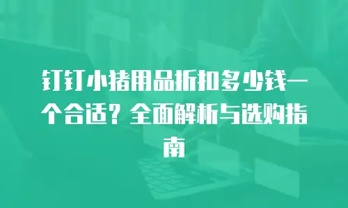 钉钉小猪用品折扣多少钱一个合适？全面解析与选购指南