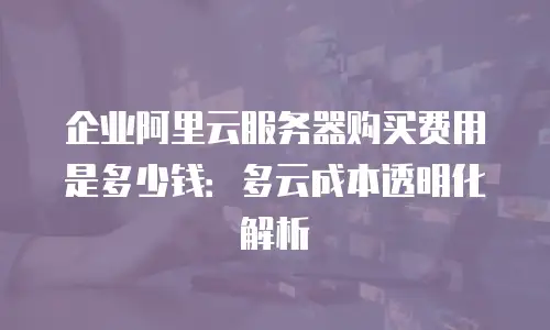 企业阿里云服务器购买费用是多少钱：多云成本透明化解析