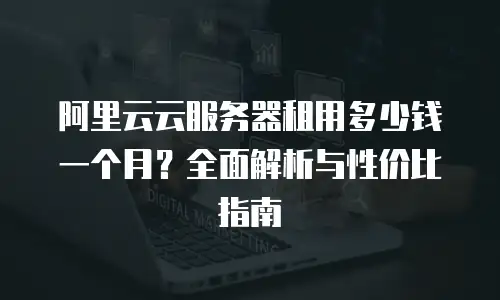 阿里云云服务器租用多少钱一个月？全面解析与性价比指南