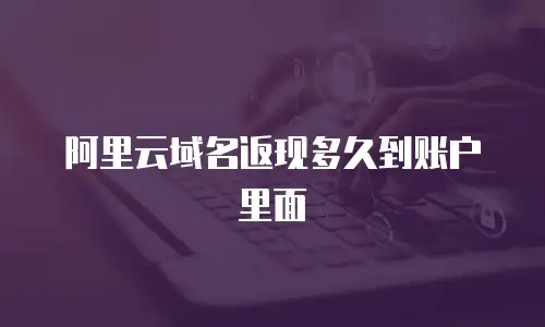 阿里云域名返现多久到账户里面