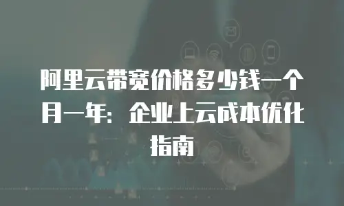 阿里云带宽价格多少钱一个月一年：企业上云成本优化指南