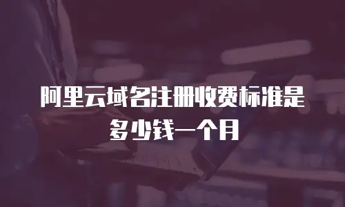 阿里云域名注册收费标准是多少钱一个月