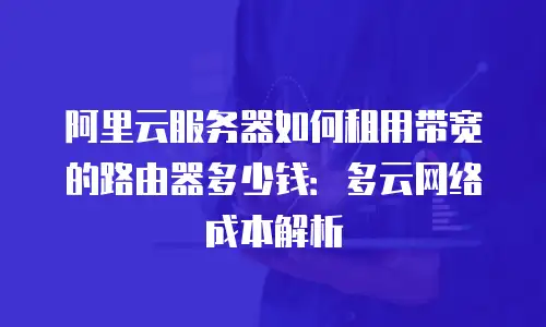 阿里云服务器如何租用带宽的路由器多少钱：多云网络成本解析