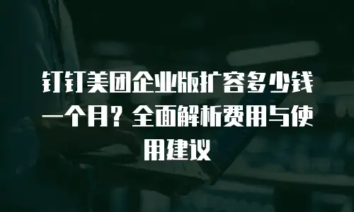 钉钉美团企业版扩容多少钱一个月？全面解析费用与使用建议