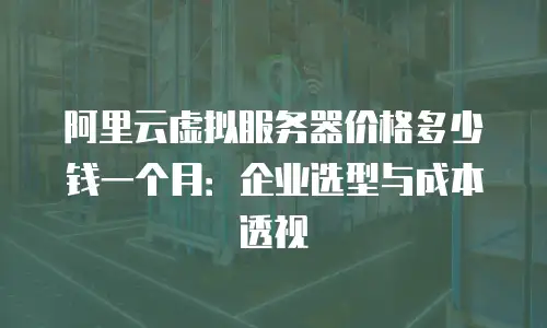 阿里云虚拟服务器价格多少钱一个月：企业选型与成本透视