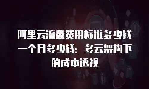 阿里云流量费用标准多少钱一个月多少钱：多云架构下的成本透视
