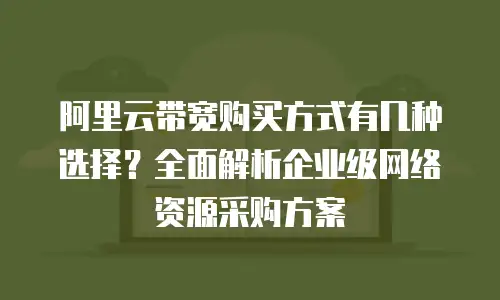 阿里云带宽购买方式有几种选择？全面解析企业级网络资源采购方案