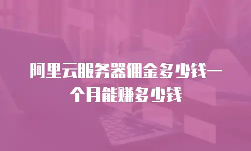 阿里云服务器佣金多少钱一个月能赚多少钱