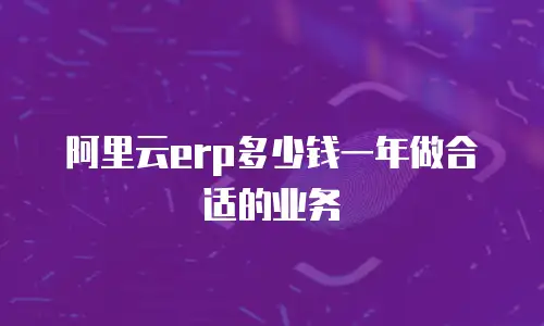 阿里云erp多少钱一年做合适的业务