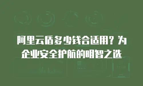 阿里云盾多少钱合适用？为企业安全护航的明智之选