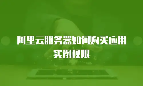 阿里云服务器如何购买应用实例权限
