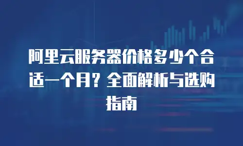 阿里云服务器价格多少个合适一个月？全面解析与选购指南