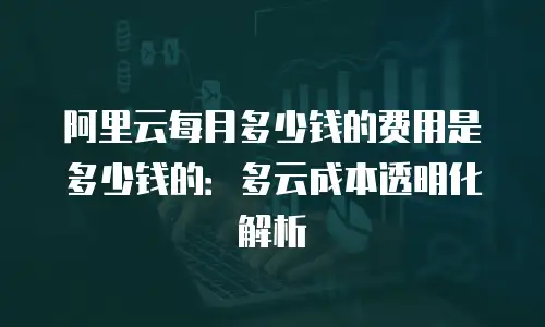 阿里云每月多少钱的费用是多少钱的：多云成本透明化解析