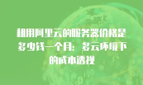 租用阿里云的服务器价格是多少钱一个月：多云环境下的成本透视