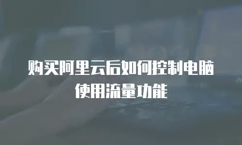 购买阿里云后如何控制电脑使用流量功能