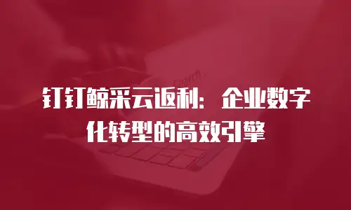 钉钉鲸采云返利：企业数字化转型的高效引擎