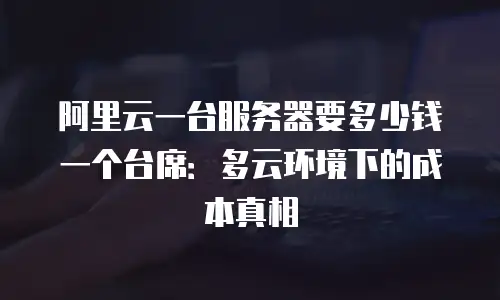 阿里云一台服务器要多少钱一个台席：多云环境下的成本真相