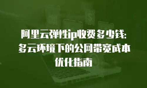 阿里云弹性ip收费多少钱：多云环境下的公网带宽成本优化指南
