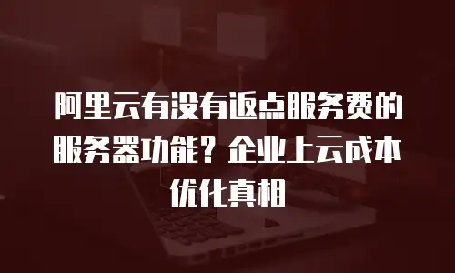 阿里云有没有返点服务费的服务器功能？企业上云成本优化真相