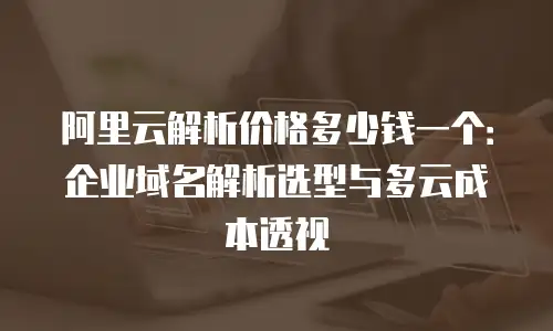 阿里云解析价格多少钱一个：企业域名解析选型与多云成本透视