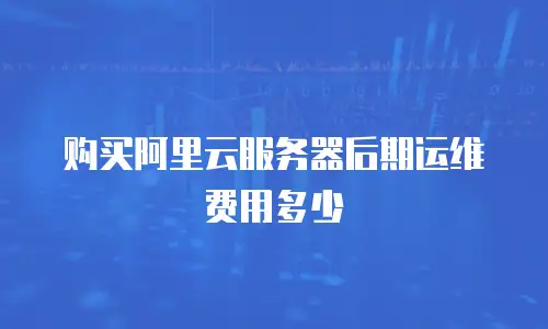 购买阿里云服务器后期运维费用多少