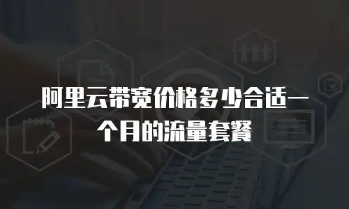 阿里云带宽价格多少合适一个月的流量套餐