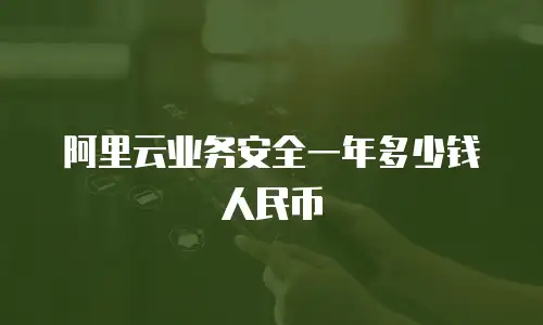 阿里云业务安全一年多少钱人民币
