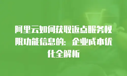 阿里云如何获取返点服务权限功能信息的：企业成本优化全解析