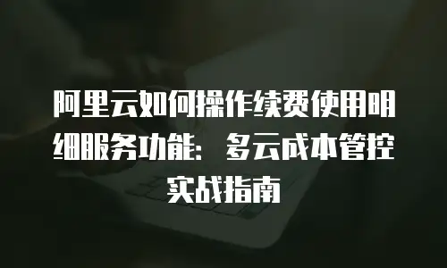 阿里云如何操作续费使用明细服务功能：多云成本管控实战指南