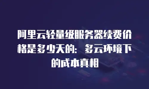 阿里云轻量级服务器续费价格是多少天的：多云环境下的成本真相