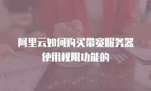 阿里云如何购买带宽服务器使用权限功能的