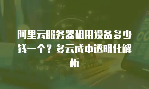 阿里云服务器租用设备多少钱一个？多云成本透明化解析