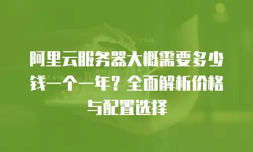 阿里云服务器大概需要多少钱一个一年？全面解析价格与配置选择