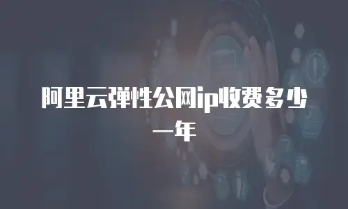 阿里云弹性公网ip收费多少一年