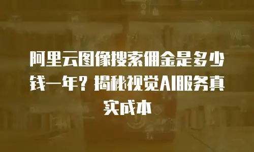 阿里云图像搜索佣金是多少钱一年？揭秘视觉AI服务真实成本