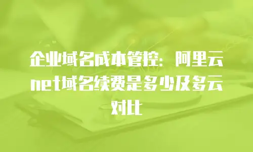 企业域名成本管控：阿里云net域名续费是多少及多云对比