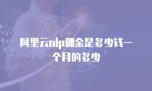 阿里云nlp佣金是多少钱一个月的多少